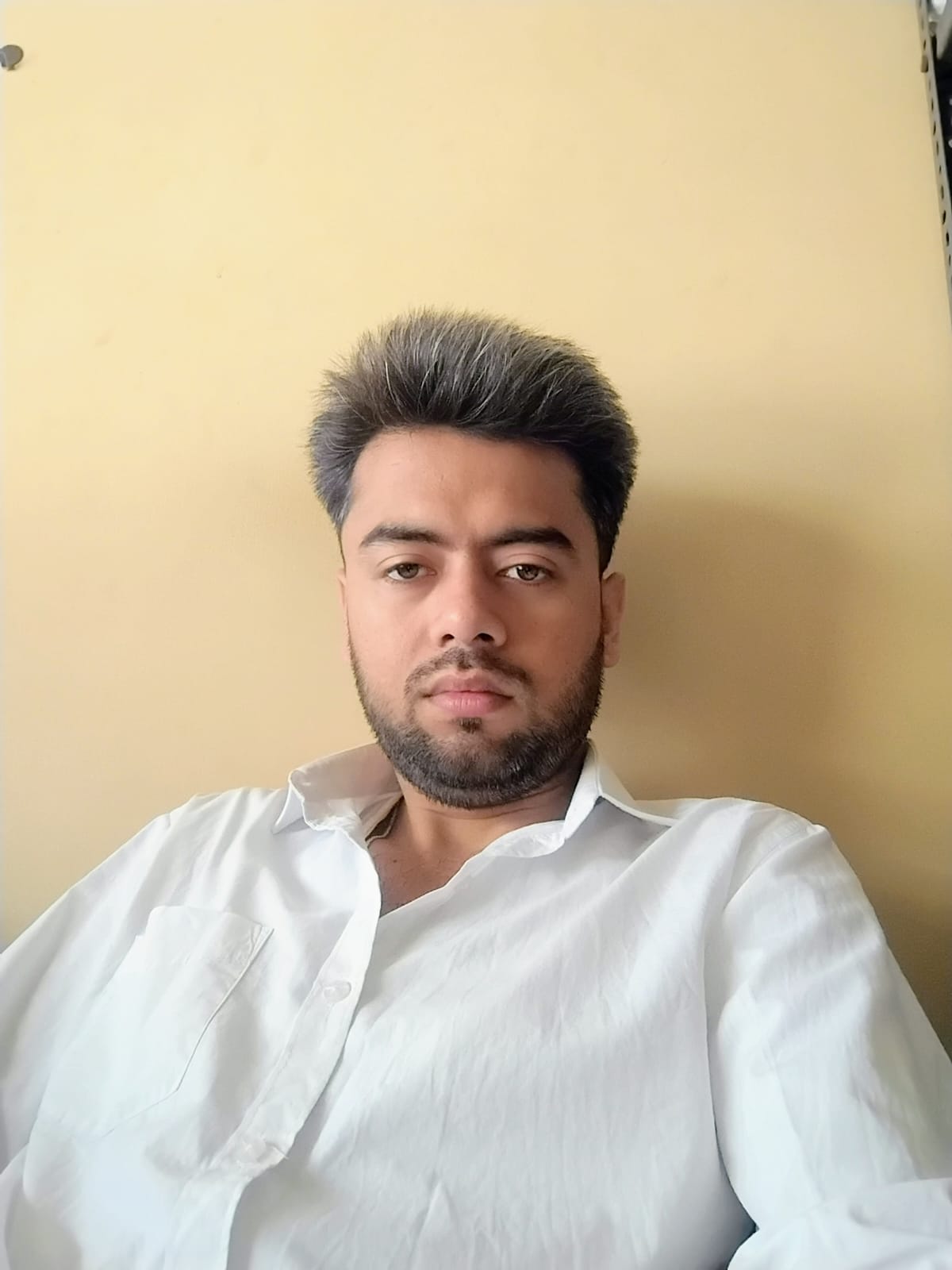 Journalist